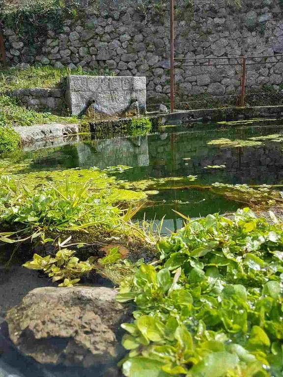 Apartman Nikocevic Dobra Voda Bagian luar foto