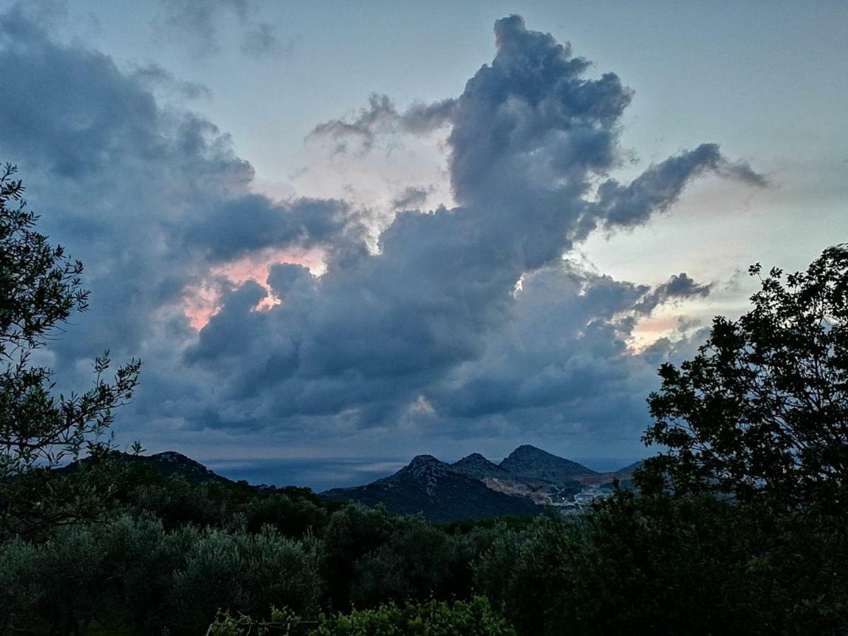 Apartman Nikocevic Dobra Voda Bagian luar foto
