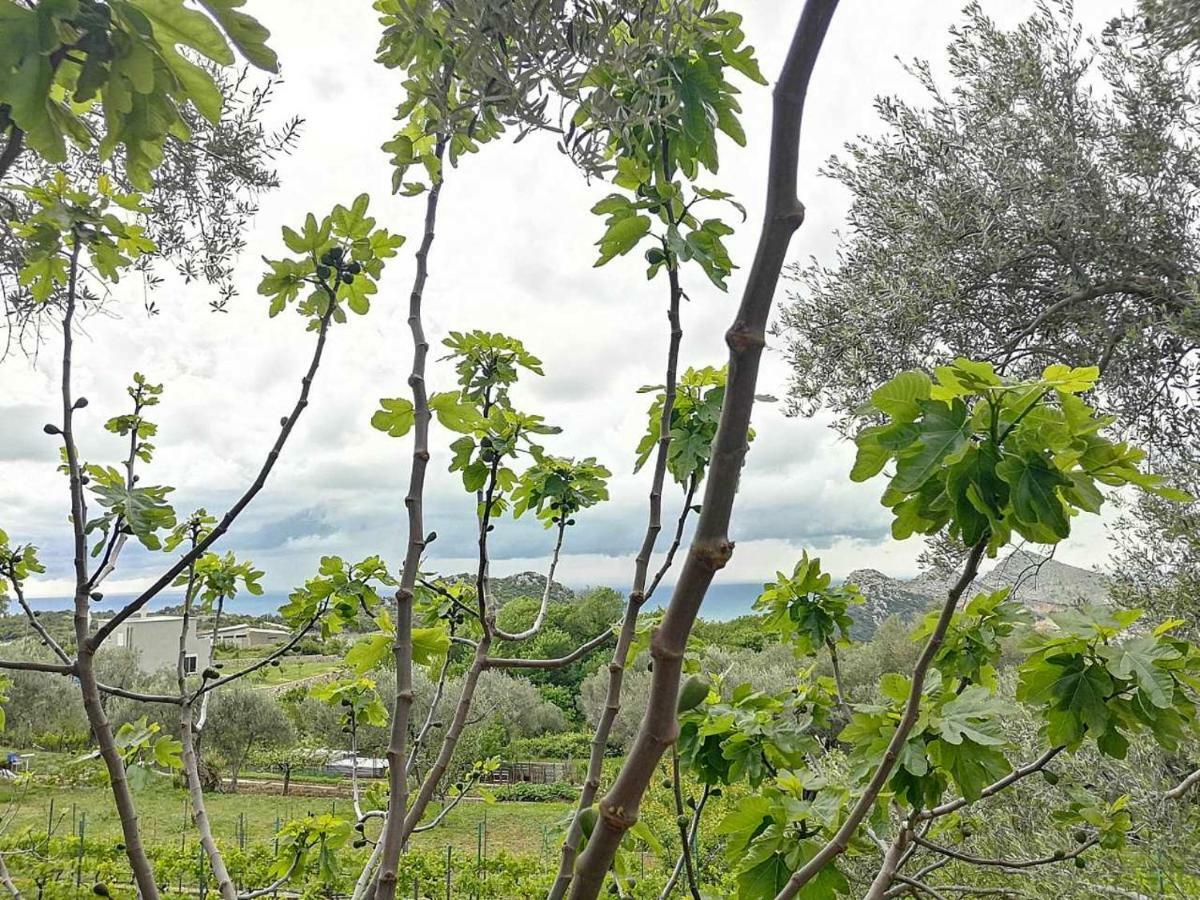 Apartman Nikocevic Dobra Voda Bagian luar foto