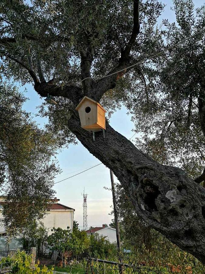 Apartman Nikocevic Dobra Voda Bagian luar foto